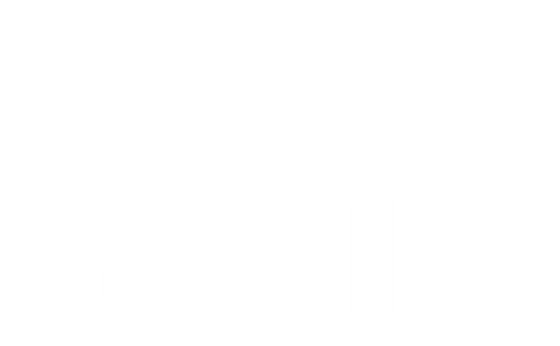 ANN skyline logo